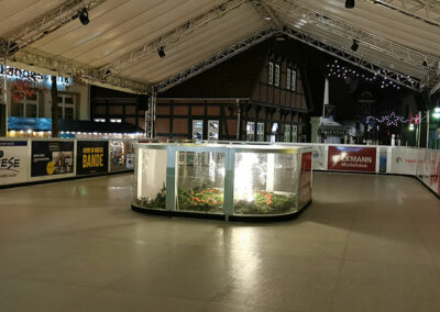 Eisbahn 11
