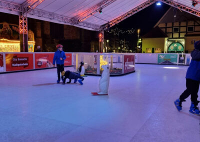 Eisbahn 89