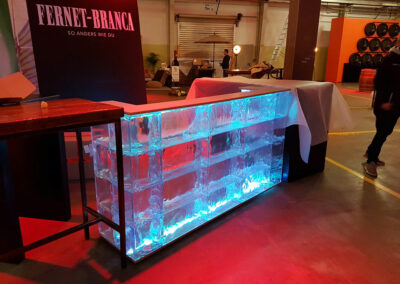 Eisbar 4