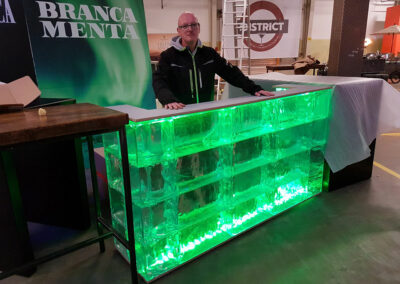Eisbar 6