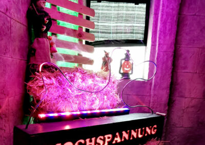 Märkte und Events 25
