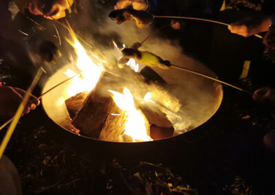 Märkte und Events 33