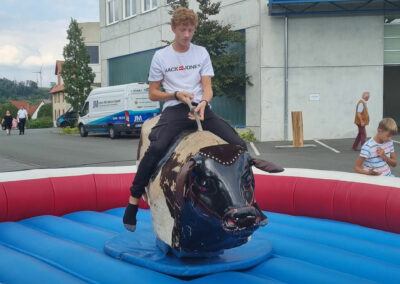 Rodeo 29