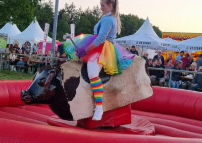 Rodeo 34
