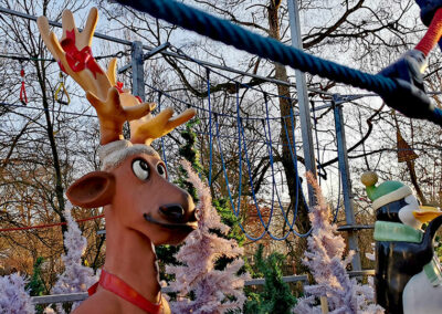 Klettern im Winterwald 14
