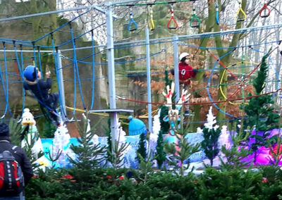 Klettern im Winterwald 2